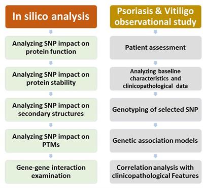 Mannose-binding lectin gene polymorphism in psoriasis and vitiligo: an observational study and computational analysis